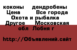 коконы    дендробены › Цена ­ 25 - Все города Охота и рыбалка » Другое   . Московская обл.,Лобня г.